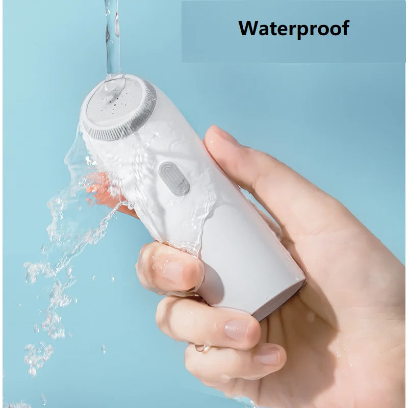 Electric Sprayer