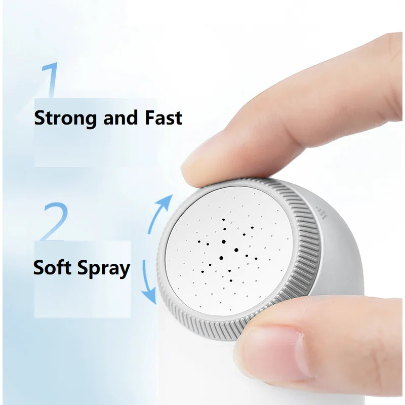 Electric Sprayer